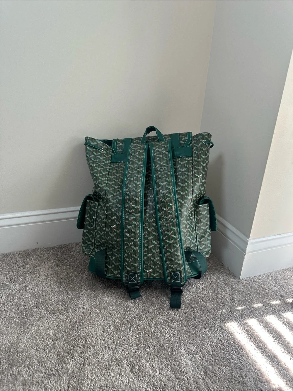 Green Patterned Canvas Men's Backpack - Designer Inspired